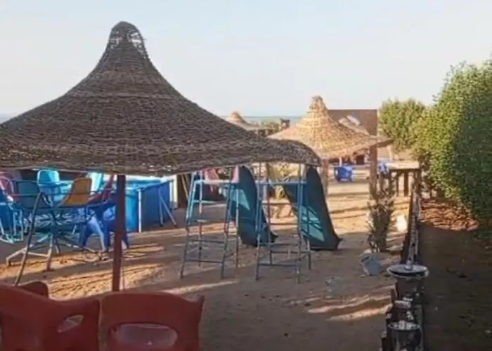 Mo Asha *
