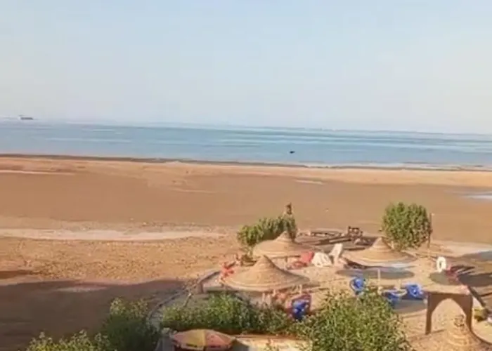 Mo Asha * Safaga